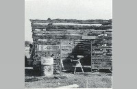 Torian Cabin